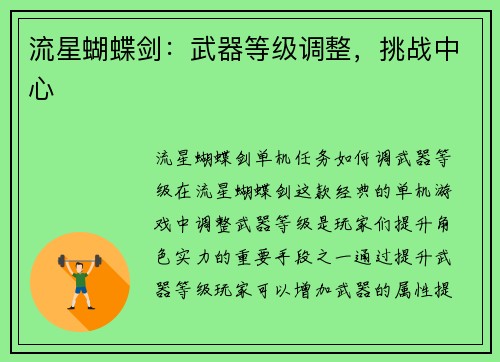 流星蝴蝶剑：武器等级调整，挑战中心